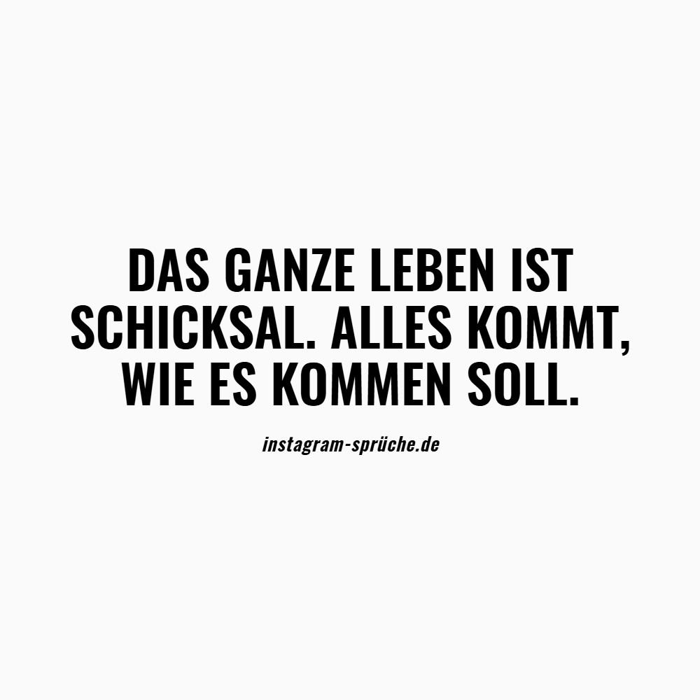 Das ganze Leben ist Schicksal. Alles kommt, wie es kommen soll.