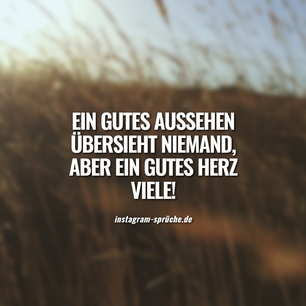 Ein gutes Aussehen übersieht niemand, aber ein gutes Herz viele!
