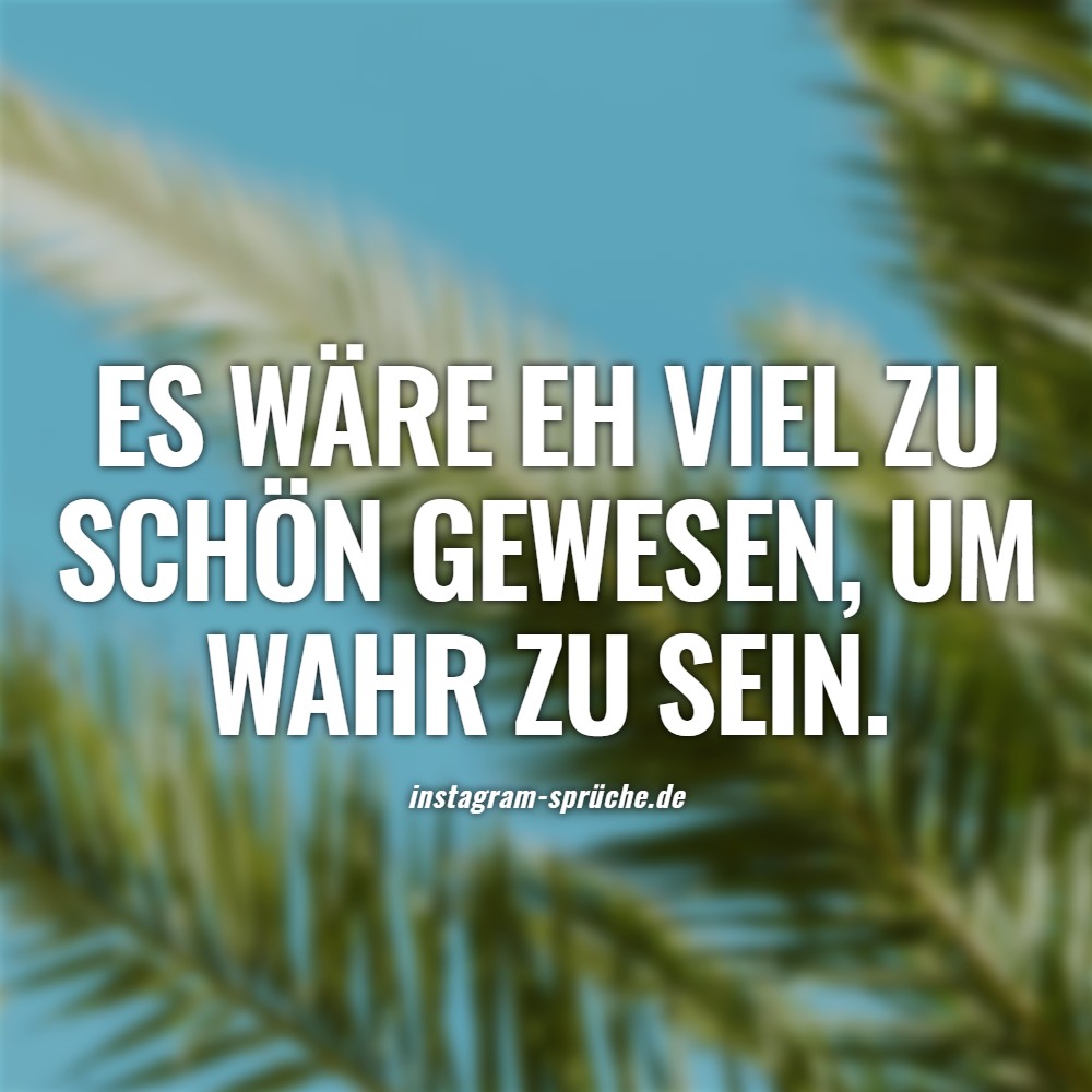 Es wäre eh viel zu schön gewesen, um wahr zu sein.