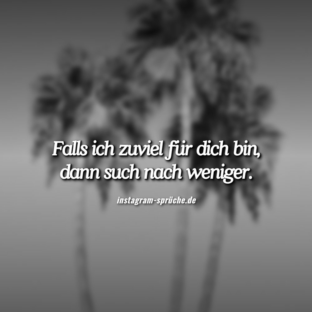 Falls ich zuviel für dich bin, dann such nach weniger.