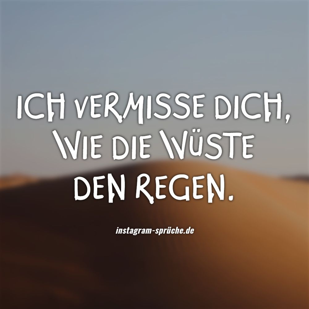 Ich vermisse dich, wie die Wüste den Regen.