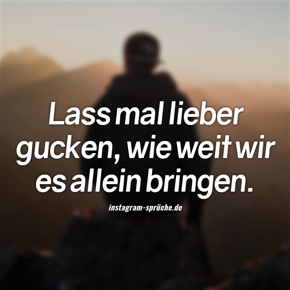 Lass mal lieber gucken, wie weit wir es allein bringen.