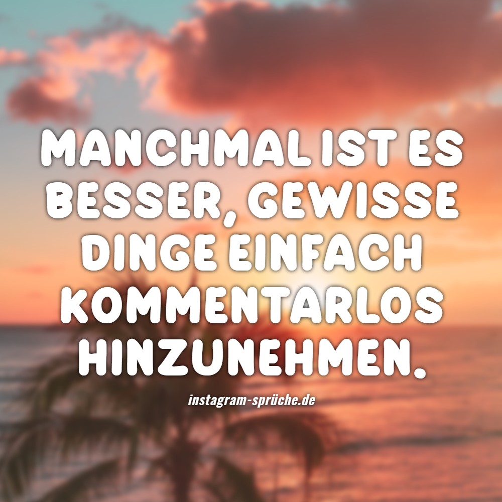 Manchmal ist es besser, gewisse Dinge einfach kommentarlos hinzunehmen.